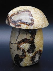 SEPTARIAN MUSHROOM ROCK STONE LAPIDARY SPECIMEN