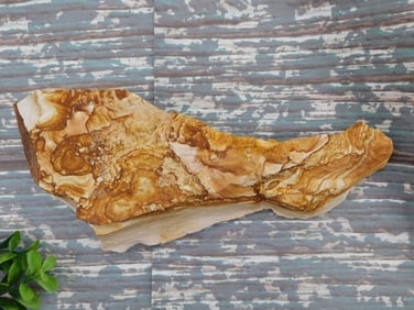 JASPER ROCK STONE LAPIDARY SPECIMEN