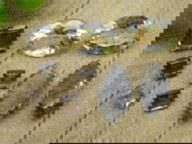 MIXED GEMSTONE LOT ROCK STONE LAPIDARY SPECIMEN