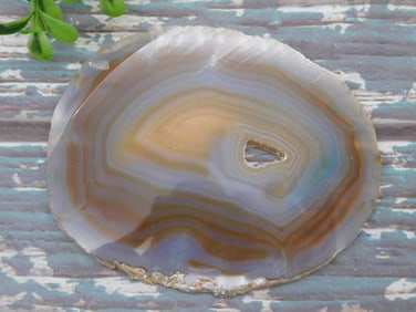 AGATE SLICE ROCK STONE LAPIDARY SPECIMEN