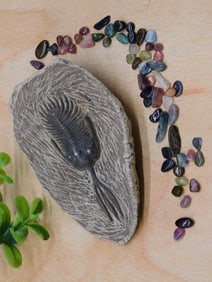 MIXED LOT ROCK STONE LAPIDARY SPECIMEN