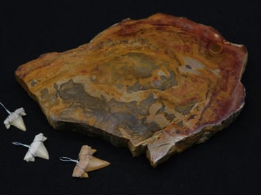 MIXED LOT ROCK STONE LAPIDARY SPECIMEN