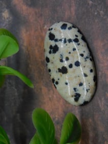 DALMATION JASPER CABOCHON ROCK STONE LAPIDARY SPECIMEN