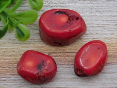 RED CORAL ROCK STONE LAPIDARY SPECIMEN