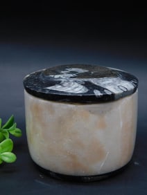 ORTHOCERAS TRINKET BOX ROCK STONE LAPIDARY SPECIMEN