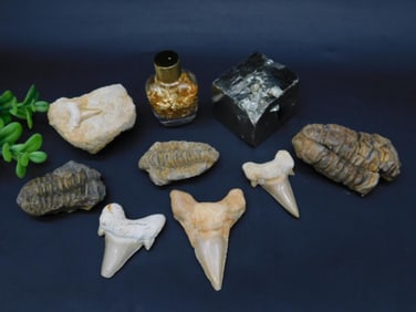 MIXED LOT ROCK STONE LAPIDARY SPECIMEN