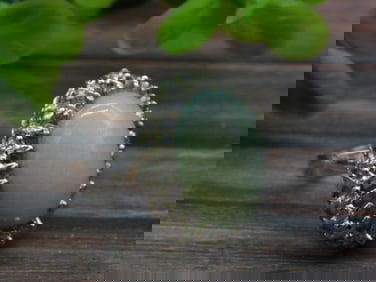 STONE RING ROCK STONE LAPIDARY SPECIMEN