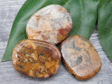 MIXED AGATE LOT ROCK STONE LAPIDARY SPECIMEN