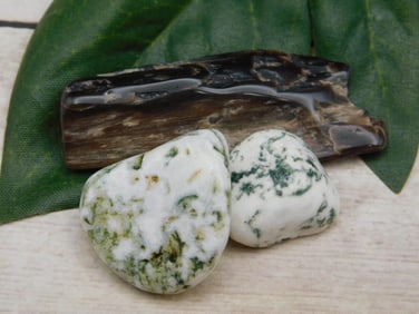 MIXED AGATE LOT ROCK STONE LAPIDARY SPECIMEN