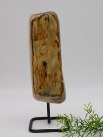 PETRIFIED WOOD DISPLAY ROCK STONE LAPIDARY SPECIMEN