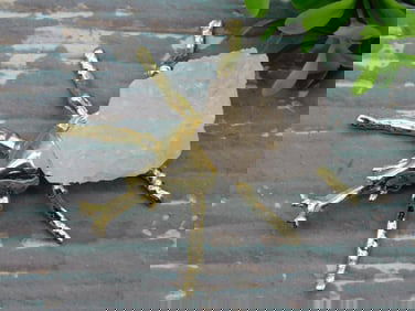 QUARTZ RHINOCEROS BEETLE ROCK STONE LAPIDARY SPECIMEN