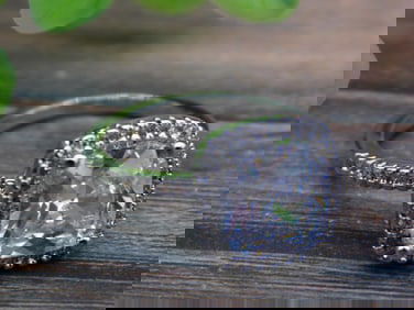 STONE RING ROCK STONE LAPIDARY SPECIMEN