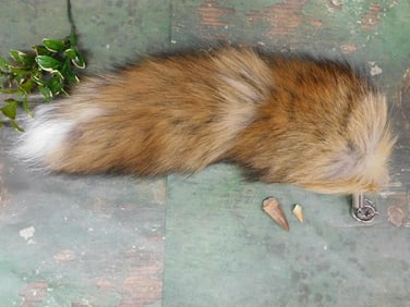 MIXED LOT ROCK STONE LAPIDARY SPECIMEN