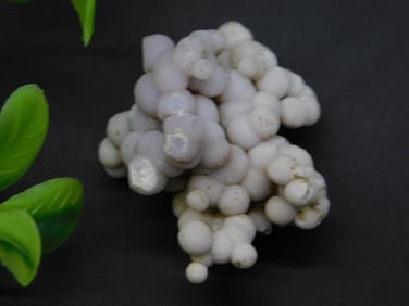 GRAPE AGATE ROCK STONE LAPIDARY SPECIMEN