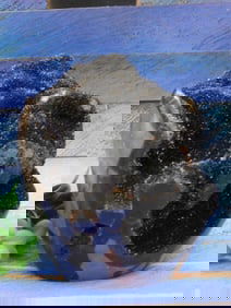 3 POUND SEPTARIAN DRAGON EGG ROCK STONE LAPIDARY SPECIMEN