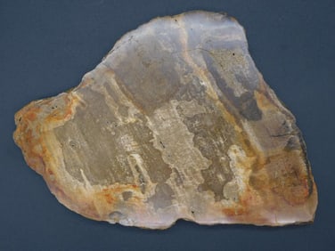 PETRIFIED WOOD SLAB ROCK STONE LAPIDARY SPECIMEN