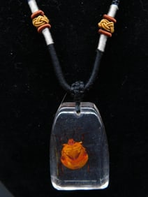 Necklace With Insect Embedded in Resin Pendant