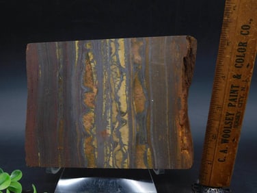 3 POUND TIGER IRON ROCK STONE LAPIDARY SPECIMEN