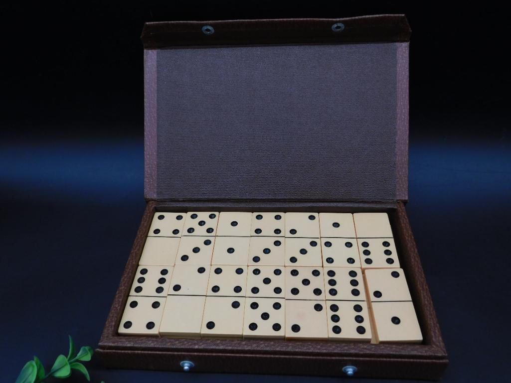 Set of Dominoes in Case With Classic Design: Set of Dominoes in Case With Classic Design