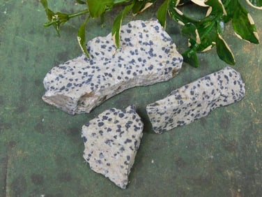 DALMATION JASPER ROCK STONE LAPIDARY SPECIMEN