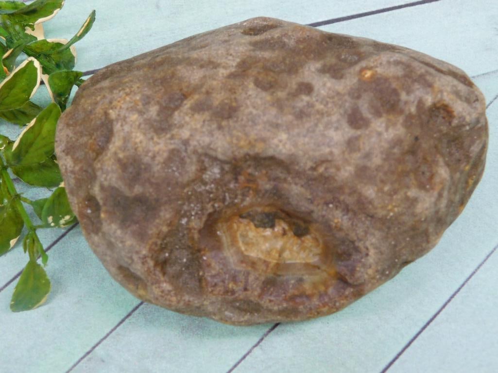 BRAZILIAN AGATE ROCK STONE LAPIDARY SPECIMEN: BRAZILIAN AGATE ROCK STONE LAPIDARY SPECIMEN