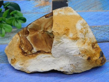 JASPER ROCK STONE LAPIDARY SPECIMEN