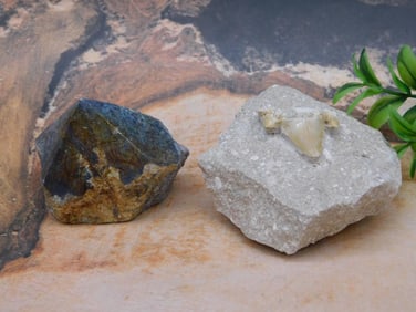 MIXED LOT ROCK STONE LAPIDARY SPECIMEN