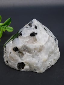 TOURAMLINE IN QUARTZ POINT ROCK STONE LAPIDARY SPECIMEN