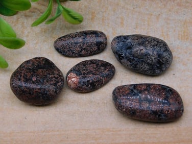 ROCK STONE LAPIDARY SPECIMEN
