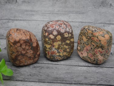 LEOPARD JASPER ROCK STONE LAPIDARY SPECIMEN