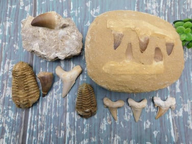 MIXED LOT ROCK STONE LAPIDARY SPECIMEN