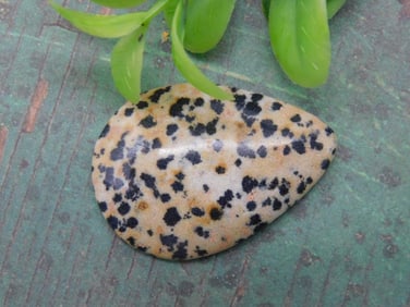 DALMATION JASPER CABOCHON ROCK STONE LAPIDARY SPECIMEN