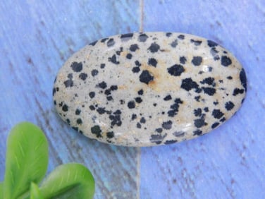 DALMATION JASPER CABOCHON ROCK STONE LAPIDARY SPECIMEN