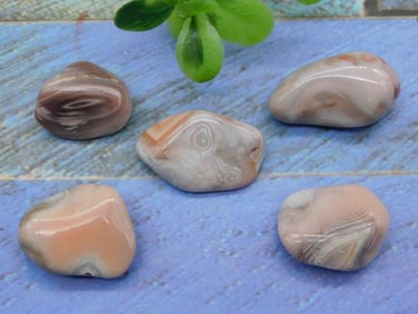 BOTSWANA AGATE ROCK STONE LAPIDARY SPECIMEN