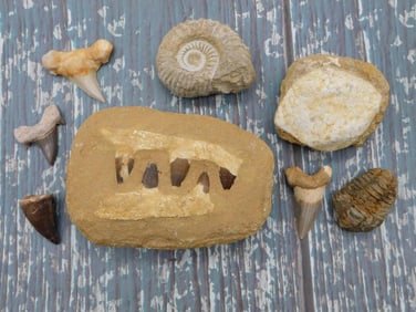 MIXED LOT ROCK STONE LAPIDARY SPECIMEN