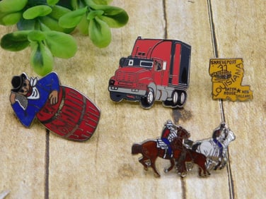 MIXED PIN LOT ROCK STONE LAPIDARY SPECIMEN