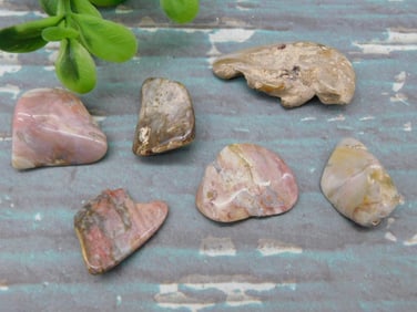 MOZARKITE ROCK STONE LAPIDARY SPECIMEN