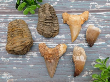 MIXED LOT ROCK STONE LAPIDARY SPECIMEN