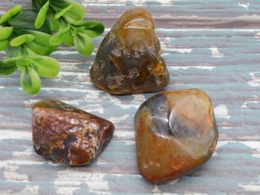 MIXED LOT ROCK STONE LAPIDARY SPECIMEN