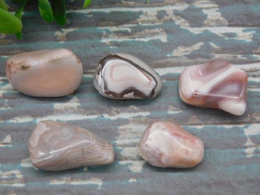 PEACH BOTSWANA AGATE ROCK STONE LAPIDARY SPECIMEN