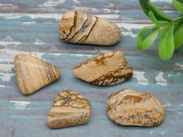 PICTURE JASPER ROCK STONE LAPIDARY SPECIMEN