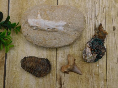 MIXED LOT ROCK STONE LAPIDARY SPECIMEN