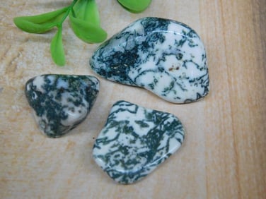 TREE AGATE ROCK STONE LAPIDARY SPECIMEN