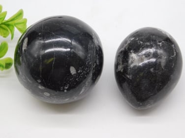 ORTHOCERAS EGG AND SPHERE ROCK STONE LAPIDARY SPECIMEN