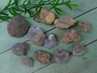 ELLENSBURG AGATE ROCK STONE LAPIDARY SPECIMEN