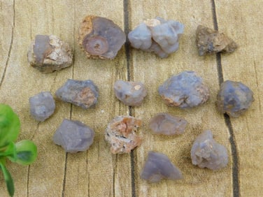 ELLENSBURG AGATE ROCK STONE LAPIDARY SPECIMEN