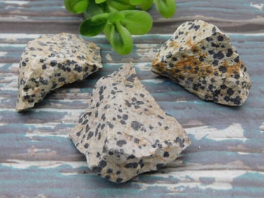 DALMATION JASPER ROCK STONE LAPIDARY SPECIMEN