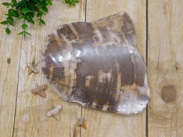 MIXED LOT ROCK STONE LAPIDARY SPECIMEN