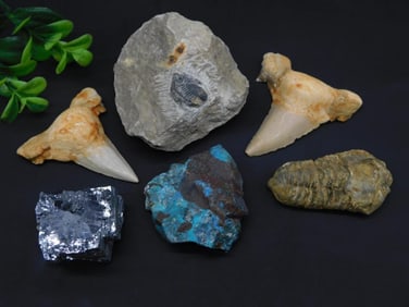 MIXED LOT ROCK STONE LAPIDARY SPECIMEN