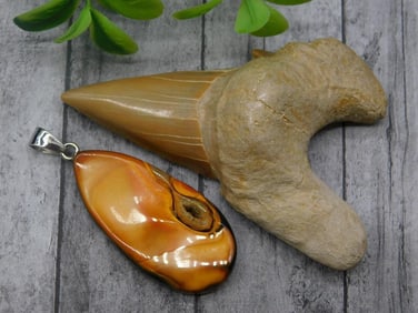 MIXED LOT ROCK STONE LAPIDARY SPECIMEN